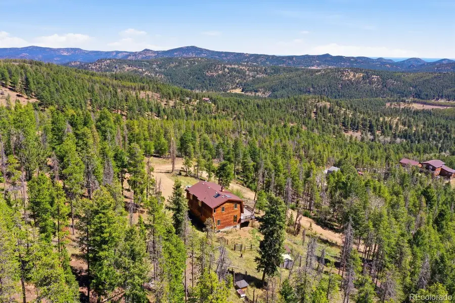 8367 S Warhawk Way, Conifer, CO 80433 - #3
