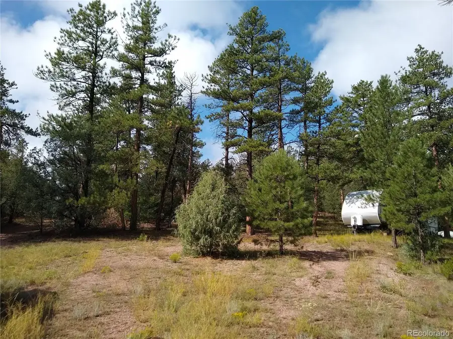 000 Gold Pan Trail, Cotopaxi, CO 81223 - Image #2