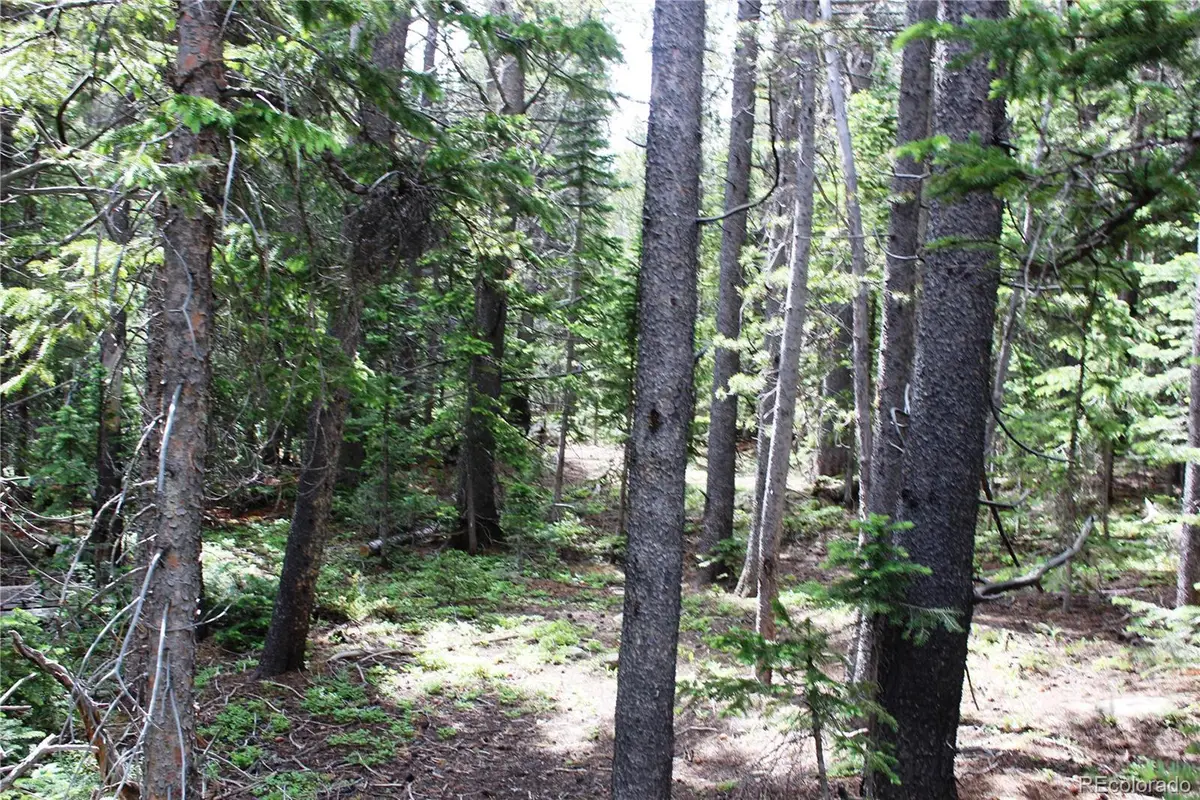 Lot 209 Upper Forest Road, Idaho Springs, CO 80452 - #1