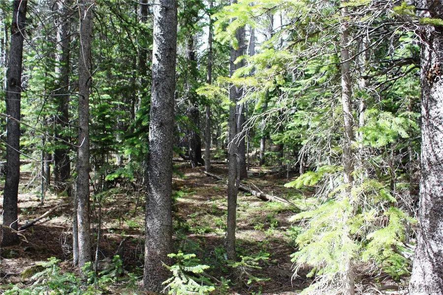 Lot 209 Upper Forest Road, Idaho Springs, CO 80452 - #3