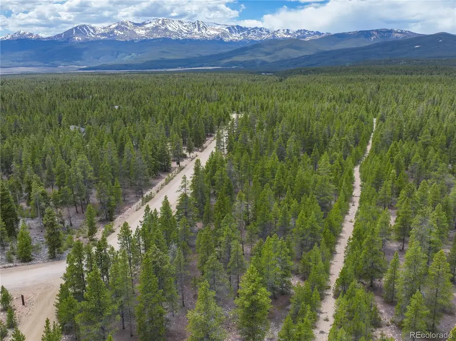 201 Snowshoe Rabbit Drive, Leadville, CO 80461 - #2