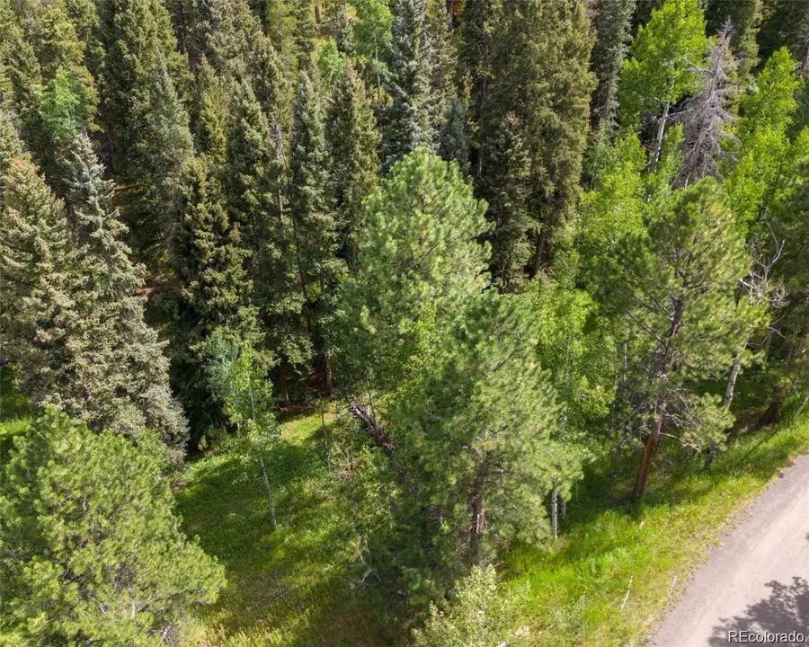 28380 Pine Trail, Conifer, CO 80433 - Image #2