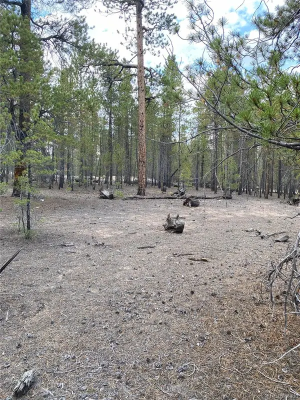 340 Peak View Drive, Twin Lakes, CO 80461