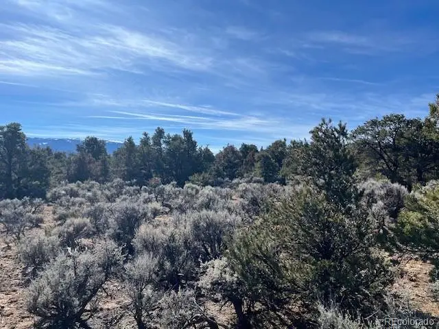 Lot 3 Ravenwood Lane, San Luis, CO 81152 - #3