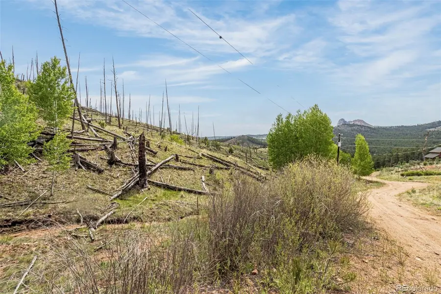 L1 B4 Columbine Circle, Woodland Park, CO 80863 - #2