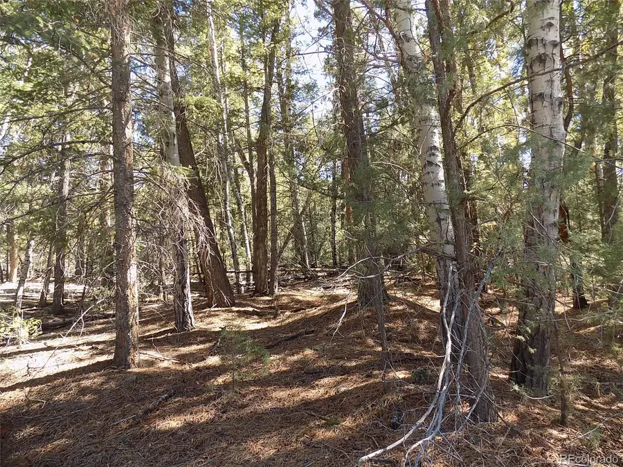 Zapata Court, Mosca, CO 81146 - Image #2