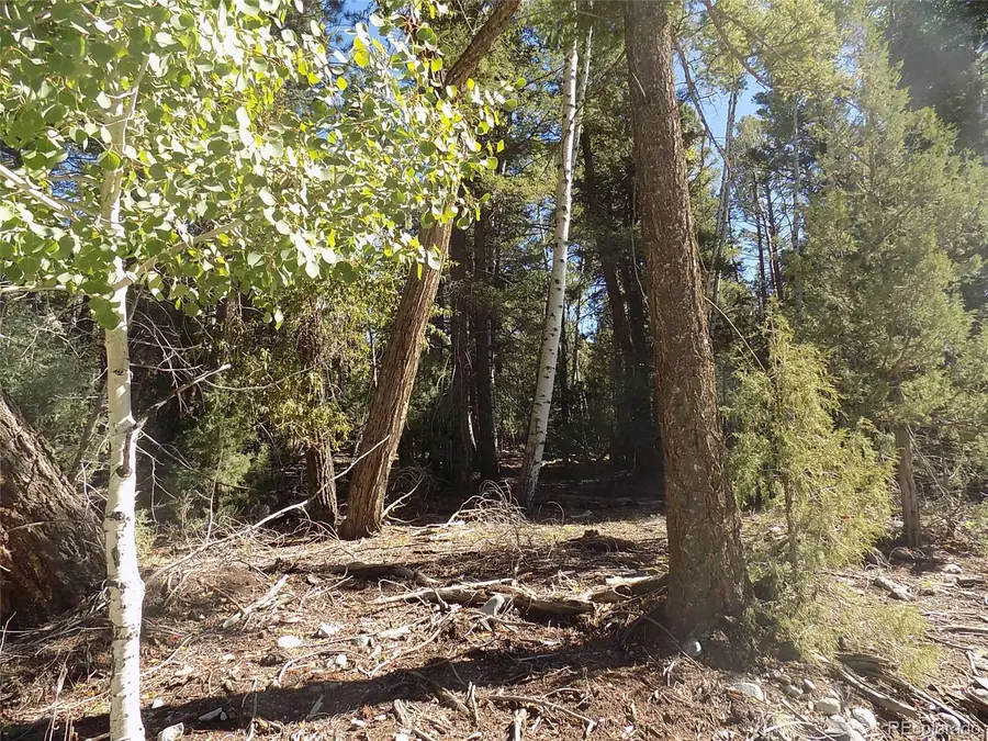 Zapata Court, Mosca, CO 81146 - Image #3