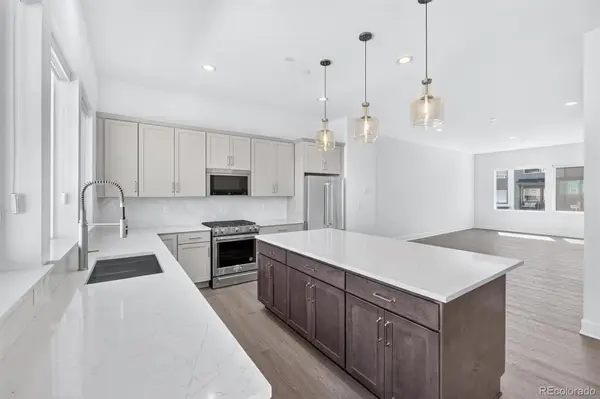 701 Saddle Drive, Erie, CO 80516