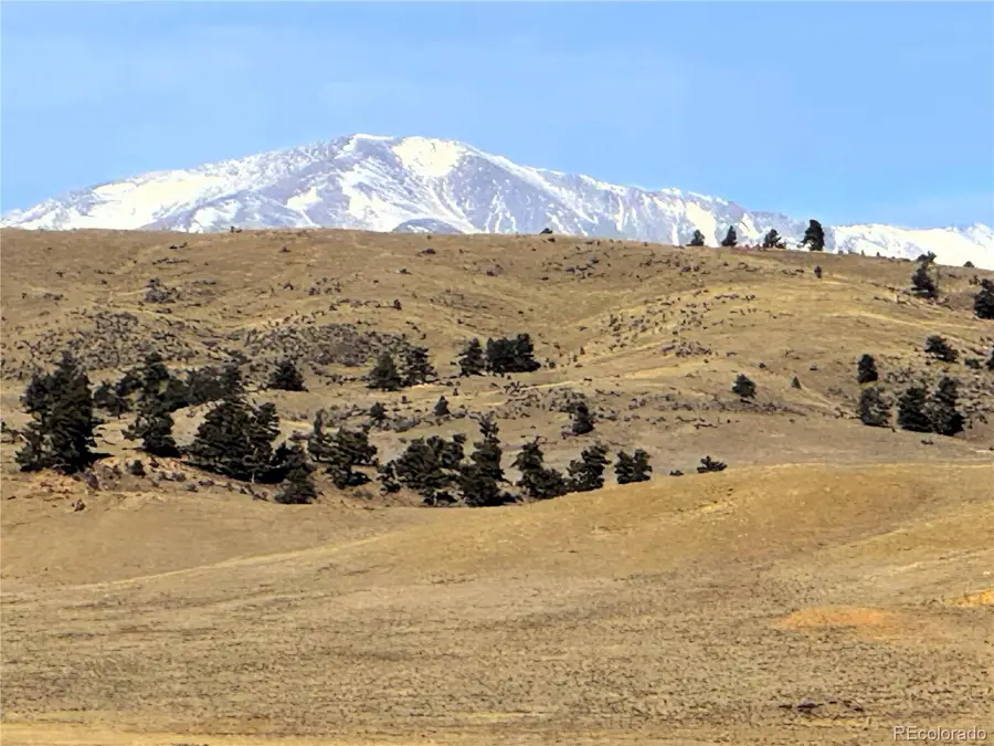 14501 Chickasaw Road, Hartsel, CO 80449 - Image #3