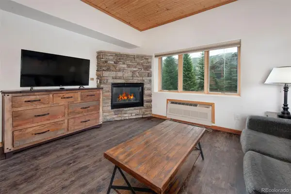 23110 Us Highway 6 #154, Keystone, CO 80435