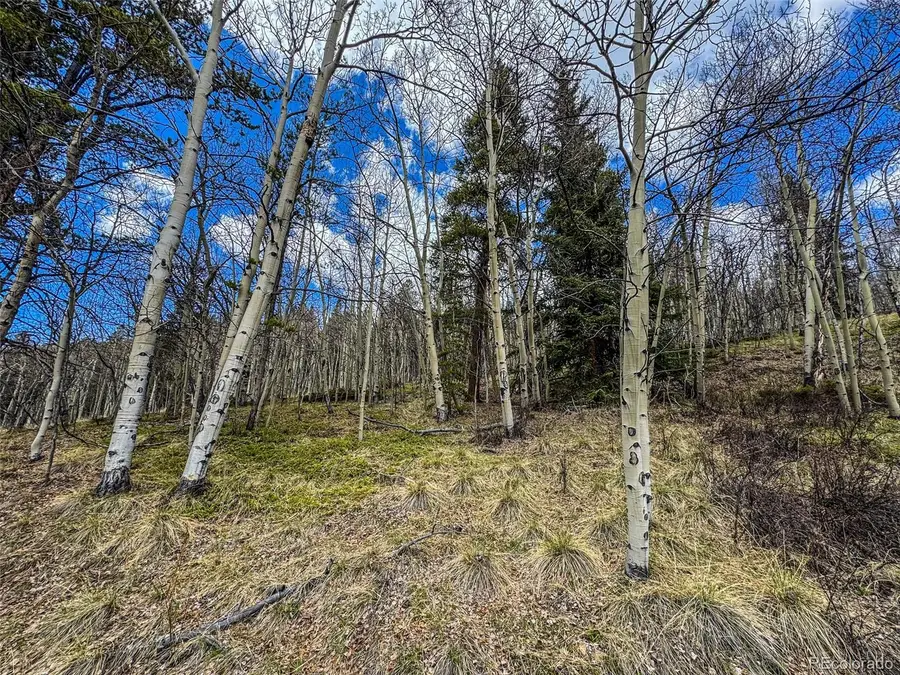 Buckeye Gulch Road, Leadville, CO 80461 - #2