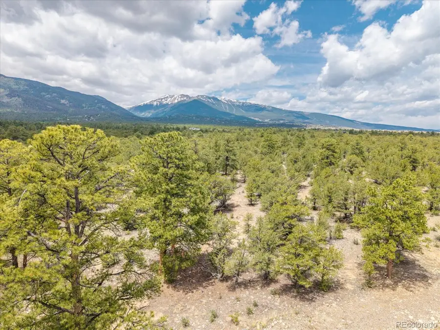 28924 Timber Ridge, Buena Vista, CO 81211 - Image #3