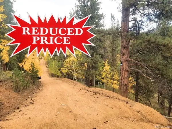 342 & 366 Brown Street, Bailey, CO 80421