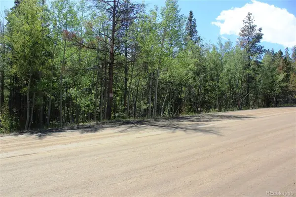 6050 Virginia Canyon Road, Central City, CO 80427