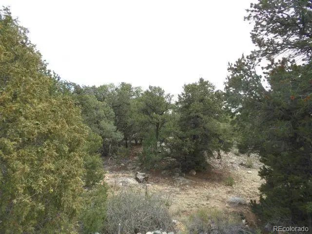 918 Pine Cone, Crestone, CO 81131 - #3