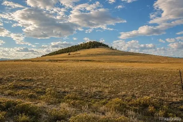 6065 Moffat Road, Hartsel, CO 80449