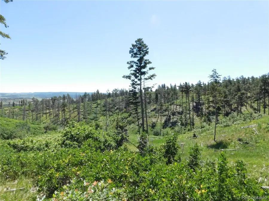 8249 Yuma Circle, Larkspur, CO 80118 - #3