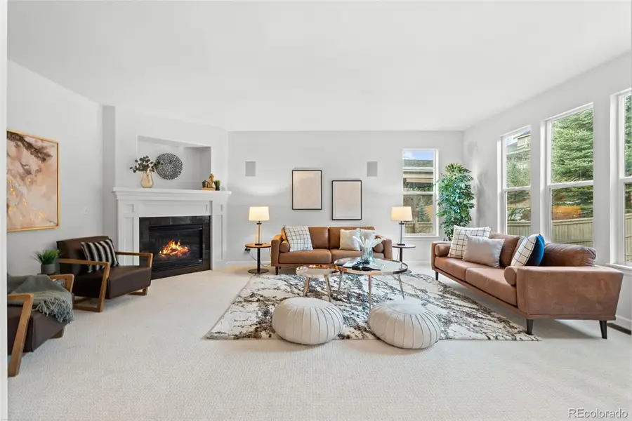 10683 Amesbury Way, Highlands Ranch, CO 80126 - #2