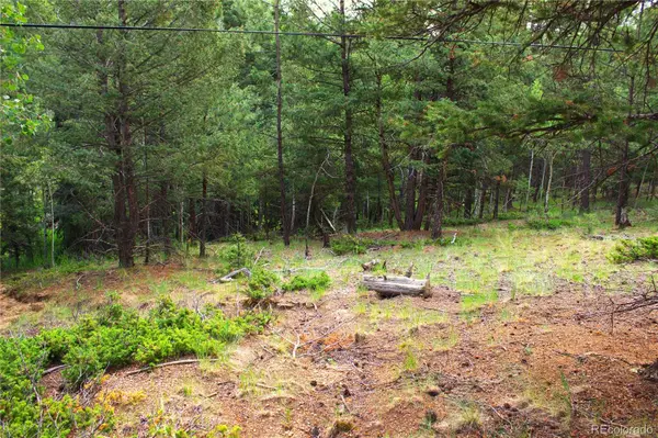 123 Ellis Lake Circle, Divide, CO 80814