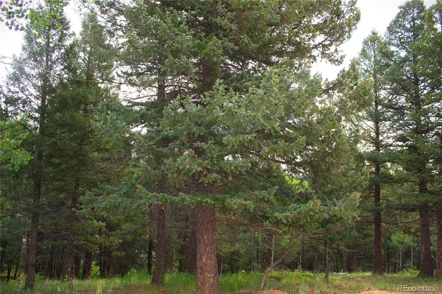 123 Ellis Lake Circle, Divide, CO 80814 - Image #2