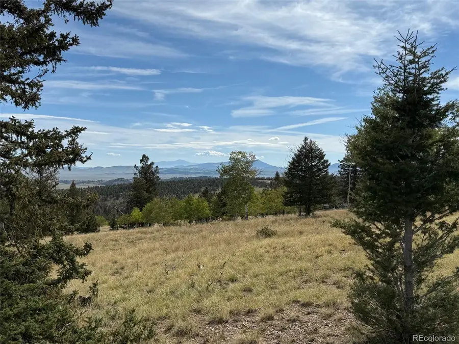 350 Kaufman Road, Hartsel, CO 80449 - Image #2