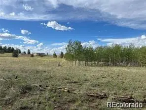 1599 Campfire Road, Hartsel, CO 80449 - #3