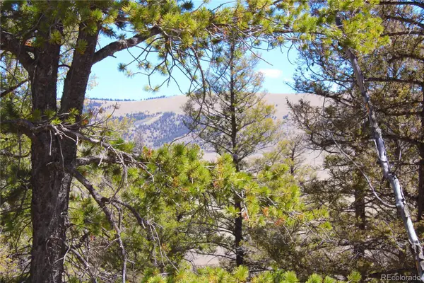 2882 Middle Fork Vista, Fairplay, CO 80440