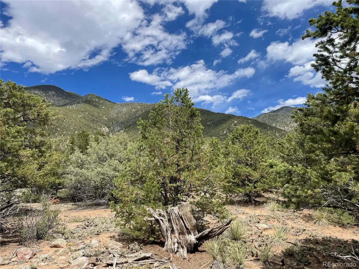 4286 Fallen Tree, Crestone, CO 81131 - #1