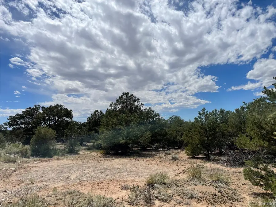 4286 Fallen Tree, Crestone, CO 81131 - #2