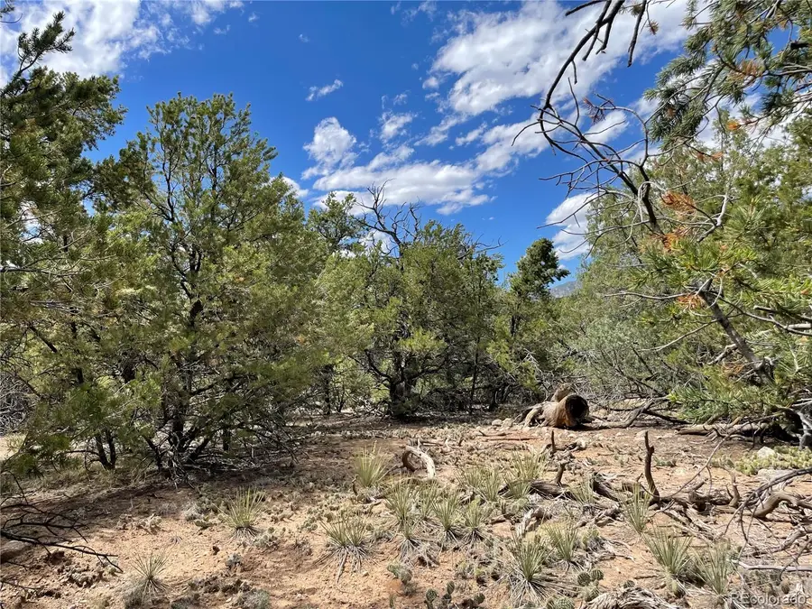4286 Fallen Tree, Crestone, CO 81131 - #3