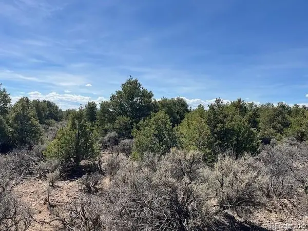 Garland Trail, Parcel 13, San Luis, CO 81152