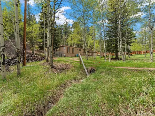 714 N Pine Drive, Bailey, CO 80421