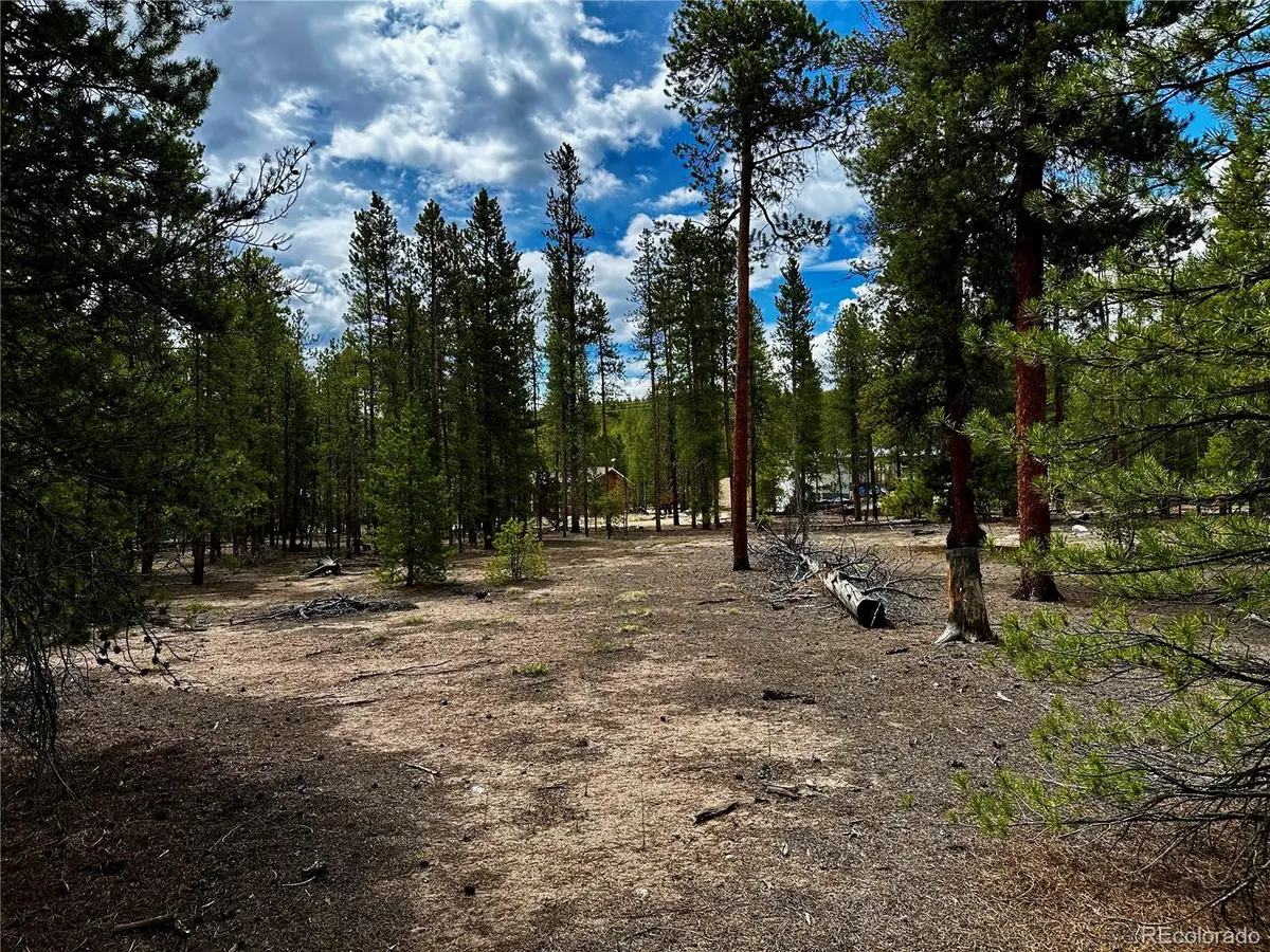 644 Birch Drive, Twin Lakes, CO 80461 - Image #1