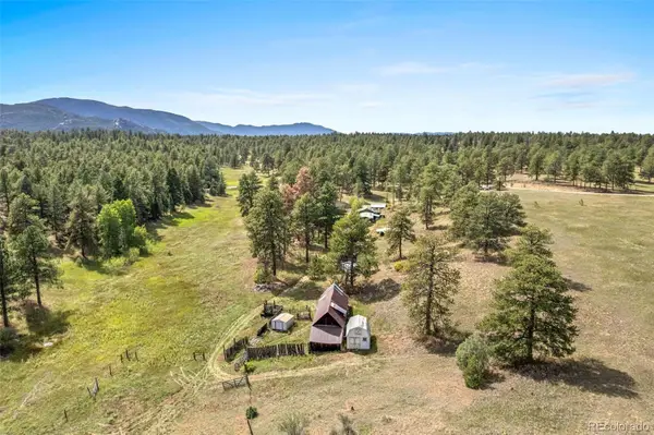 21555 Spring Creek, Buffalo Creek, CO 80425