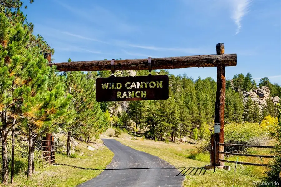 Address Withheld By Seller, Lake George, CO  - #2