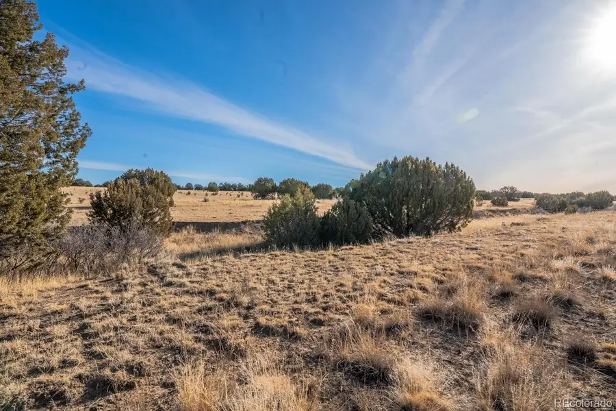 24 Hatchet Ranch, Colorado City, CO 81019 - #2