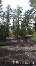 13 Tract 2 Costilla Place, Alamosa, CO 81101 - #1