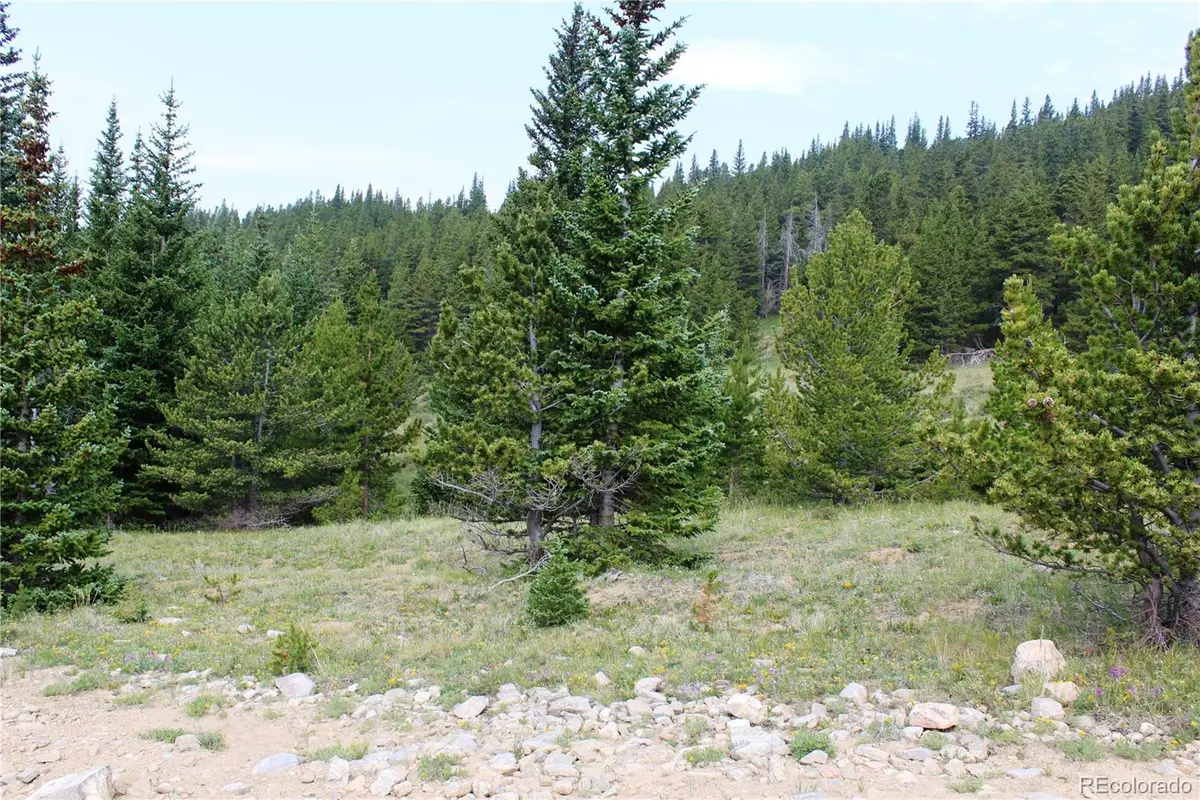 13620 Independence, Idaho Springs, CO 80461 - #1