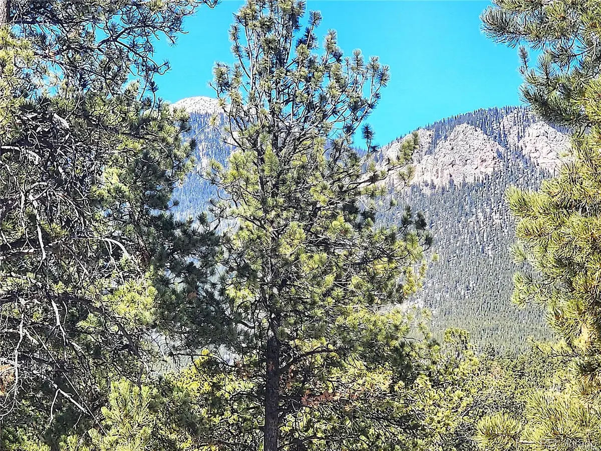 116 Neal Street, Bailey, CO 80421 - Image #1