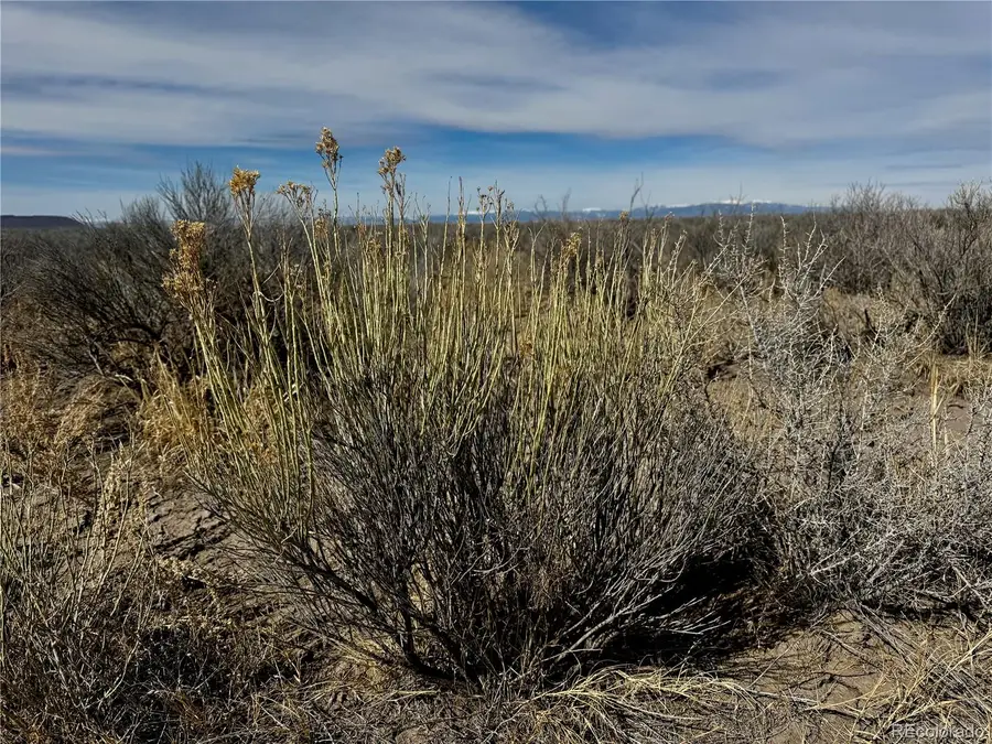 Lot 39 Big Bend Road, Blanca, CO 81123 - Image #3
