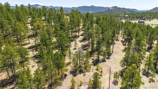 56 Dallas Park Circle, Florissant, CO 80816