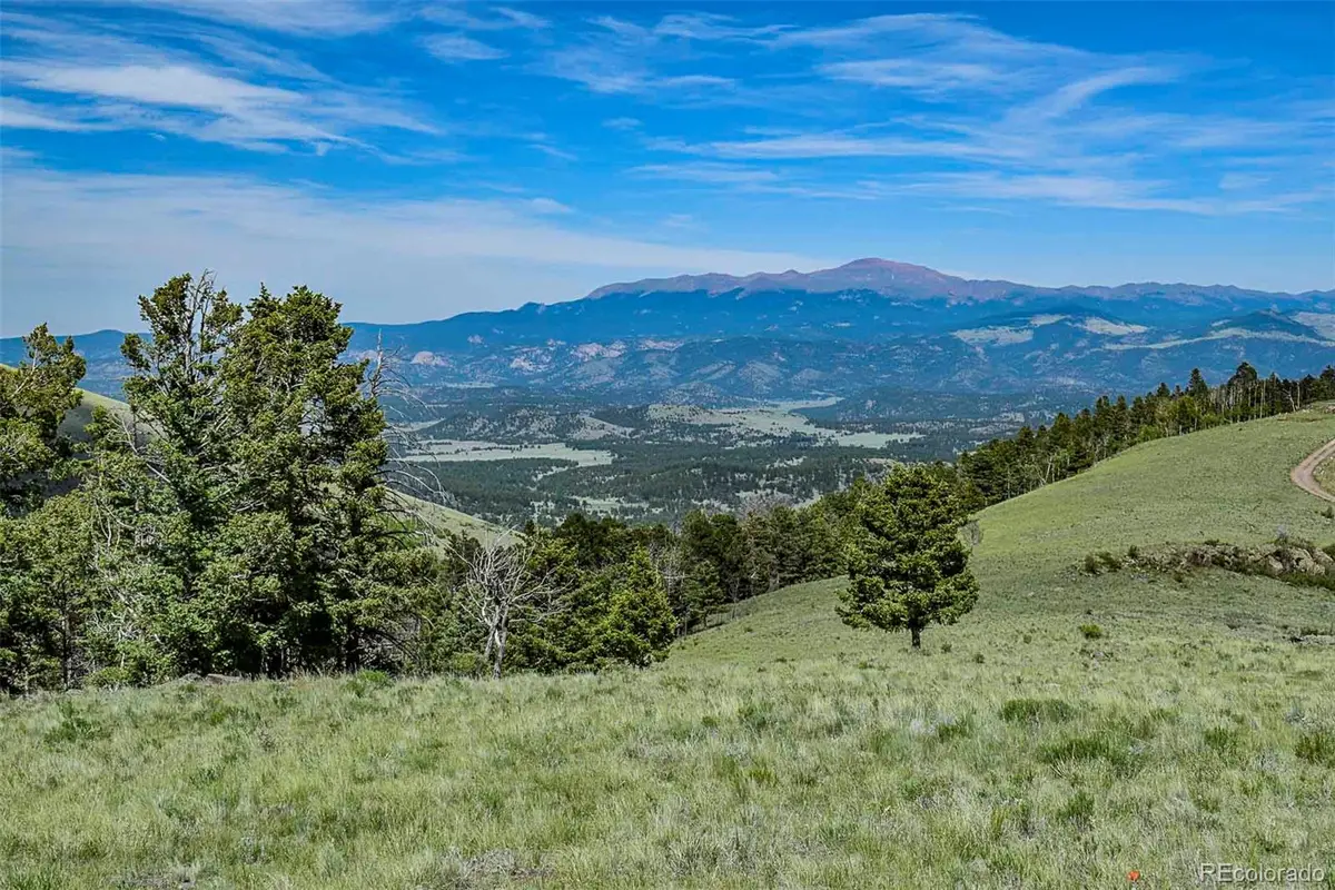 000 Bear Cat Road, Guffey, CO 80820 - #1