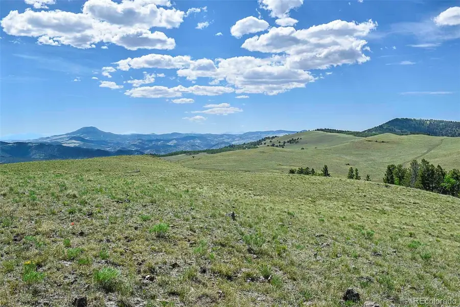 000 Bear Cat Road, Guffey, CO 80820 - #2