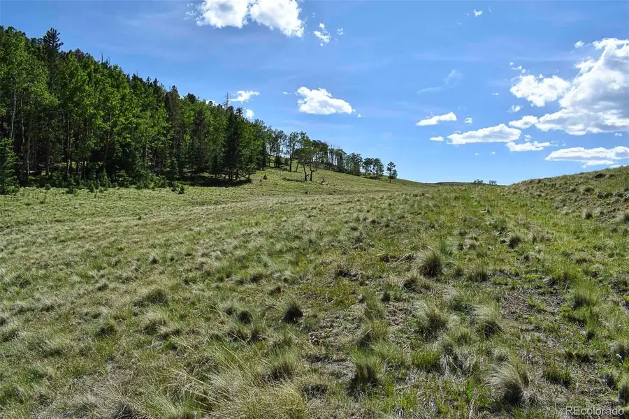 000 Bear Cat Road, Guffey, CO 80820 - #3