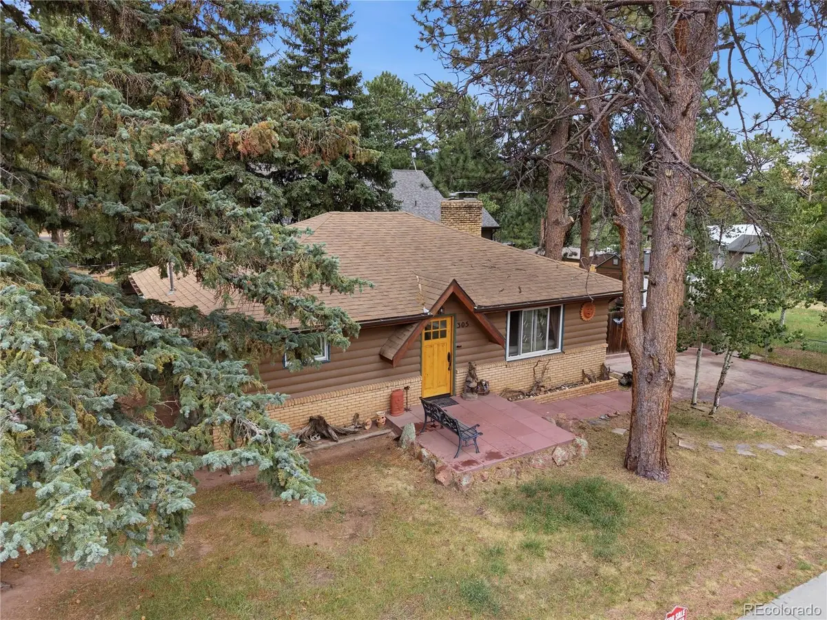 305 S Fairview, Woodland Park, CO 80863 - #1