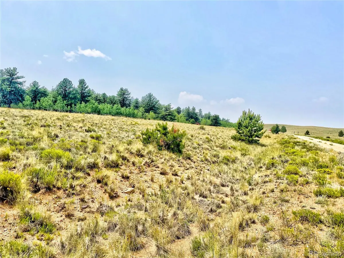 887 Superstition Trail, Hartsel, CO 80449 - Image #1