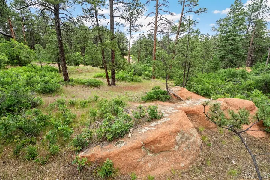 4580 Delaware Drive, Larkspur, CO 80118 - Image #3