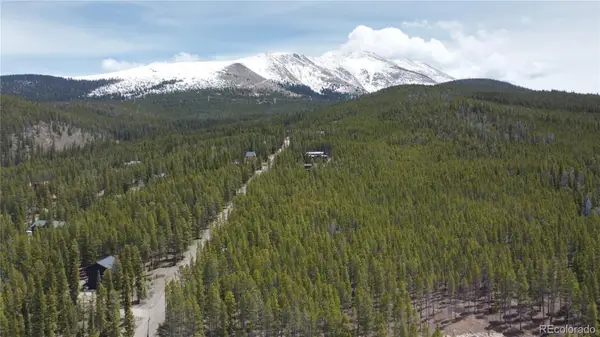 0064 Cr 534, Breckenridge, CO 80424