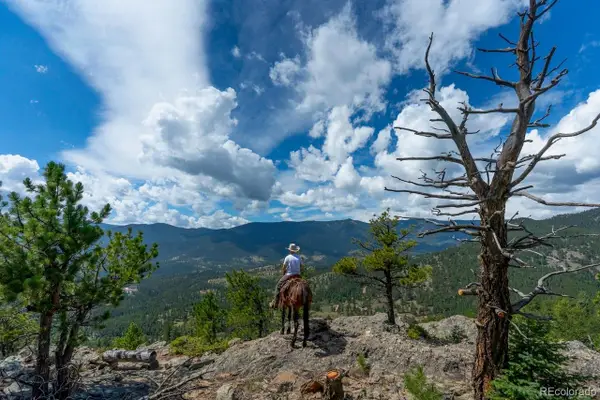 150 Summit Drive, Bailey, CO 80421