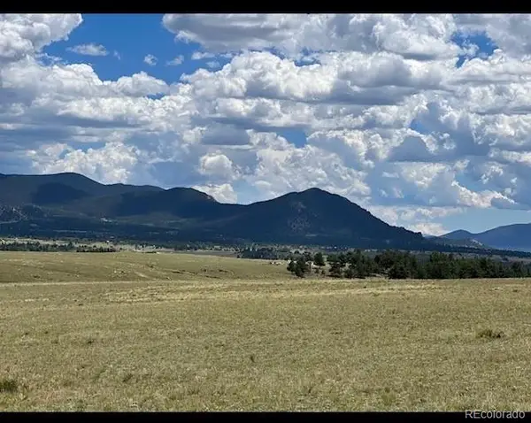 1593 Yellowstone Road, Hartsel, CO 80449
